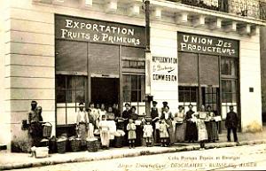 1654- Alger-Ruisseau - Union des producteurs de fruits